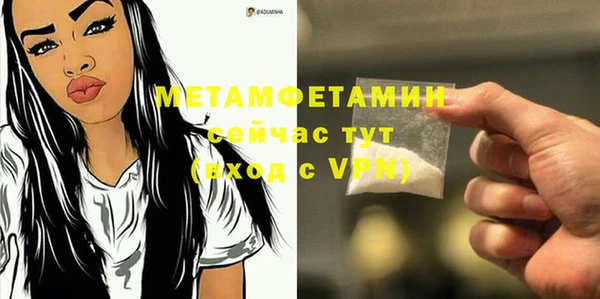 шишки Осинники