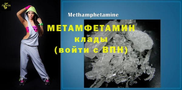 шишки Осинники