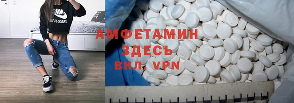 шишки Осинники