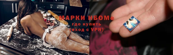шишки Осинники