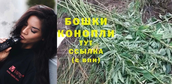 мяу мяу мука Осташков