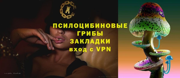 мет Весьегонск