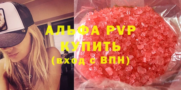 шишки Осинники