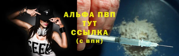 PSILOCYBIN Вуктыл