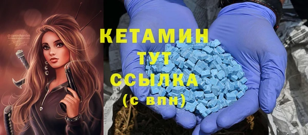 шишки Осинники
