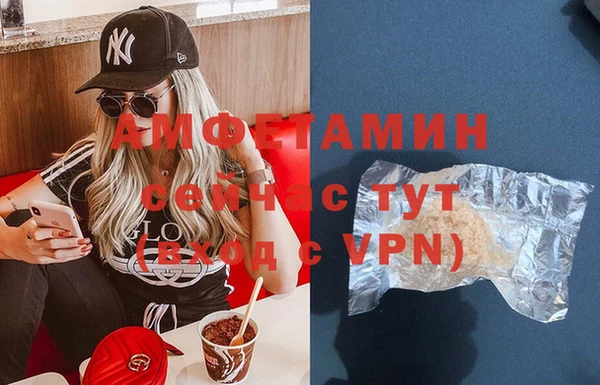 шишки Осинники